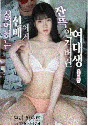 逆光而行剧集海报